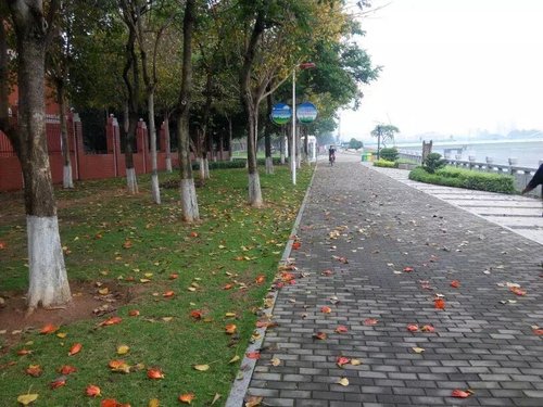 透水路面砖案例